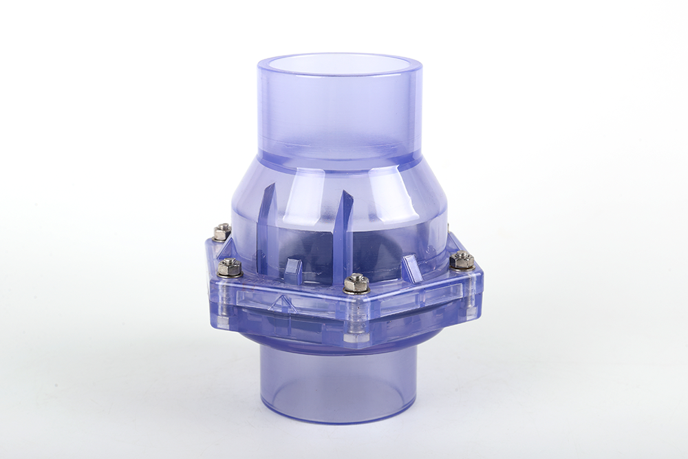 柳江透明翻板式止回阀